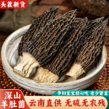 云南野生羊肚菌干货汤料包 16-17根4.7元