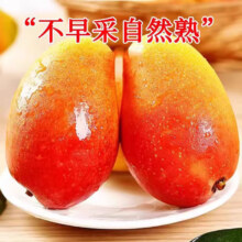 广西贵妃芒 净重4.5斤 小果【约50g-100g】6.9元（需领券）