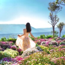 云南丽江香格里拉5天4晚纯玩小团·单人游|探秘普达措+体验滇西风情 | 赠藏家土司宴1369元