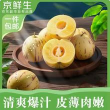 京鲜生 云南石林人参果 净重3斤 单果50g+券后12.9元