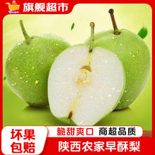 京世泽 源头直采早酥梨 新鲜水果 梨子【特惠】 净重3斤 尝鲜装券后14.9元