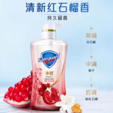 舒肤佳 红石榴山茶花沐浴露 380g￥24.45 比上一次爆料降低 ￥10.44