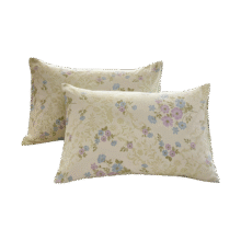 PLUS:红豆 全棉枕套 48*74cm*1个19.01元