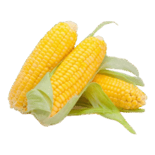 【精品甜玉米】 新鲜水果玉米 3斤净重 ＞200g/根5.99元