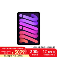 苹果 Apple iPad mini7 2024款 平板电脑（A17 Pro、128GB、5G版、紫色）2981.51元