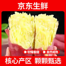 疆域采虹 正宗陕西板栗红薯蜜薯当季新鲜蔬菜生鲜自然熟地瓜番薯果蔬整箱 特选4.5斤家庭超值装券后9.9元