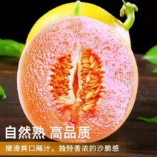 粤迎 蜜瓜 4.5-5斤、350g+9.99元（需领券）