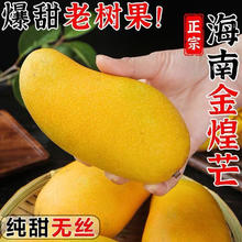 庾丰 当季新鲜金煌芒 4.5斤 单果200g+