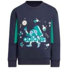 88VIP：Adidas/阿迪达斯 童装小童卫衣圆领休闲运动套头衫 HM962564.02元包邮（需复制标题到淘金币下单）