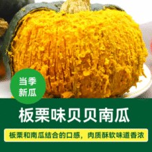 北京奥运会食材供应商！绿行者 板栗味贝贝南瓜5斤￥17.52 3.5折 比上一次爆料上涨 ￥0.02