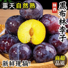 康田汇 黑布林李子 4.5-5斤、30g+25.8元（合12.9元/件）
