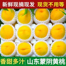 京格 特大果 山东蒙阴 大黄桃 黄金桃 2.5斤装（6-8个）20.48元（需买2件，需用券）