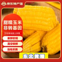 王老宝 东北黄糯玉米 170-200克 10个券后12.9元