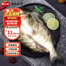 巢三珍 斑点叉尾鮰鱼400g 生鲜食材 鱼类原料7.94元