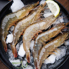美加佳 国产白虾1.5kg 规格40/50 单冻大虾 烧烤食材66.15元