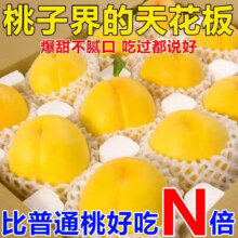 山东蒙阴黄桃 精品果150g+【净重4.5斤】15.88元（需领券）