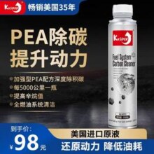 Kasder 卡士德 汽油添加剂燃油宝300mL19元包邮