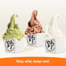 美团外卖 野人先生 【必点榜】自选三口味冰淇淋套餐兑换券·1张 可配送可自取原价68元 现价52.1元（到手3杯 单杯仅17.3元）