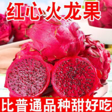【头茬尝鲜】现摘正宗红心火龙果 5斤(净重4.5斤)精选装单果150-250g10.5元