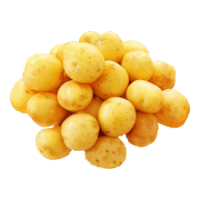 东坡嘴 河南新鲜小土豆 500g1.99元 包邮
