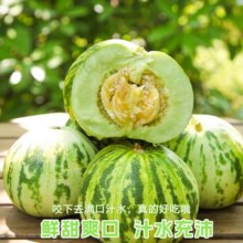 试吃:正宗八里香甜瓜1个3.7元