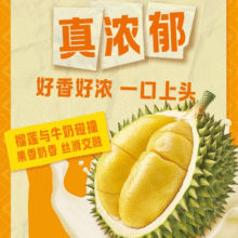 伊利味可滋榴莲牛奶200ml×10盒81.4元（需复制标题到淘金币下单）88vip会员