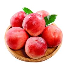 胖东来同款！熊治 黄金大月饼 芋泥麻薯蛋黄夹心500g￥14.9