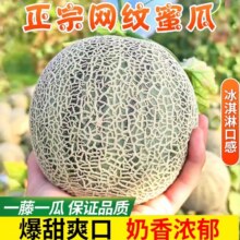 粤迎 蜜瓜 4.5-5斤、350g+8.99元（需领券）