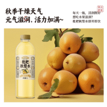 豆丁日记 传统枇杷秋梨水 1L*2瓶11.73元+0.73元淘金币（使用88vip2元红包后）