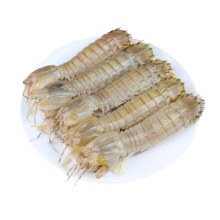 全母皮皮虾 鲜活冷冻 特大带膏带籽 虾爬子椒盐即食海虾 500g 10-12cm*1件47.41元（需领券）