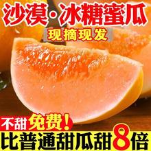 初石 特大果 甘肃民勤 冰糖 沙漠瓜 黄河蜜甜瓜 4.5斤装（1-2个）15.44元（需买2件，需用券）