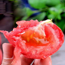 京世泽 圣女果 小西红柿 番茄 水果蔬菜 尝鲜装 3斤 急速券后14.9元
