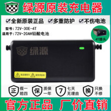 绿源（Luyuan）绿源电动车充电器原装铅酸电瓶车充电器电瓶车冲电器原厂全新配件 新款一灯：72V-30E-4T（2T方针+2）79.8元
