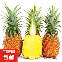 海南金钻凤梨 新鲜水果手撕凤梨孕妇水果 果园直发 整箱包邮非菠萝 1粒装凤梨 单果500g起*2件4.1元（合2.05元/件）