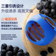 30天长效！Bayer 拜耳  拜灭士 杀蝇饵剂 7g￥16.90 5.7折
