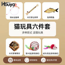 HOUYA 猫玩具6件套自嗨解闷逗猫棒宠物小猫幼猫全套逗猫玩具 一应俱全18.66元