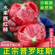 康田汇 陕西普罗旺斯水果西红柿 精选A级果净重1250g+3.9元