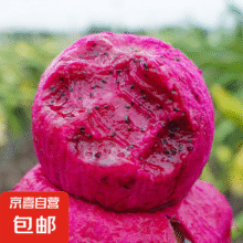湖南红心火龙果 金都一号（4.5斤单果300g+7.99元