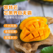 香甜多汁！京鲜生 攀枝花凯特芒果 4.5斤/单果400g起￥12.90 比上一次爆料降低 ￥1.73