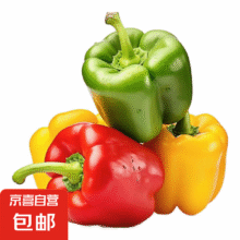 山东双色水果五彩椒圆椒青椒产地直发 双色水果五彩椒净重 5斤15.9元（需领券）