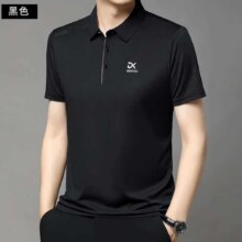 罗蒙 男士商务休闲Polo *2件、会员凑单超低价27元/件（凑单16.1元/件）共54元
