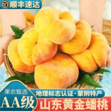 春福乐 山东蒙阴黄金蟠桃礼盒装 4.5斤【礼盒装】20.9元