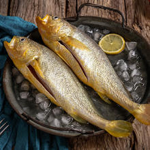 黄小渔 宁德三去黄花鱼 600g/4条32.95元（需买2件）