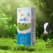 悠纯 认养 牧场鲜知 纯牛奶 200mL*20盒￥21.16 2.4折