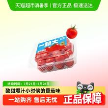 88VIP会员：一颗大 【淘金币特惠】一颗大樱桃番茄精品粒装小西红柿酸甜爆汁基地直发券后13.9元包邮
