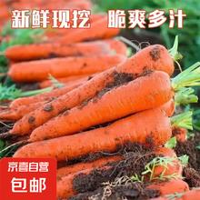 京喜加 新鲜胡萝卜 2斤0.99元