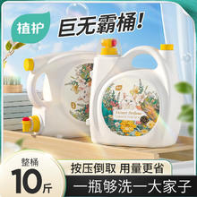 植护 普通洗衣液 馥郁晚香-10斤*1瓶券后29.9元