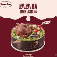 美团到店 哈根达斯 【夏日新品】趴趴熊蛋糕冰淇淋 多店可用原价258元，现价218元