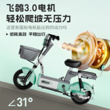 飞鸽 电动车新国标电动自行车 FG 48V、清新绿759元
