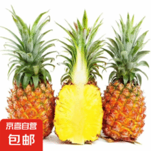 海南金钻凤梨 新鲜水果手撕凤梨孕妇水果 果园直发 整箱包邮非菠萝 1粒装凤梨 单果500g起*2件4.1元（合2.05元/件）